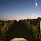 Domaine des Capots