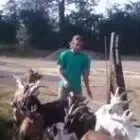 Les Chevres d'L