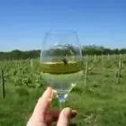 DOMAINE DU VIKING