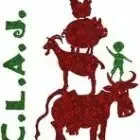 Club de Loisirs et d’Actions de la Jeunesse