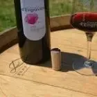 Domaine des Coteaux d'Engraviès