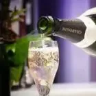 Champagne Joël CLOSSON