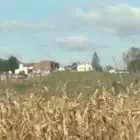 Ferme Moulié - l'estanquet deu guit - Famille Ducamp