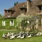 La Ferme de Biorne