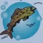 Catching fish Caves