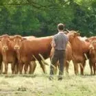 Ferme de Villiers