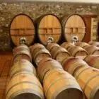 Domaine De La Haute Olive