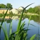 Pisciculture Gandon