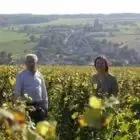 Champagne Sourdet-Diot