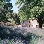 Domaine De Saint Paulet