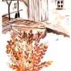 La Farine d'Oudon