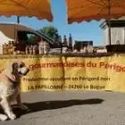 La papillonne