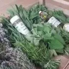 les aromes de genas