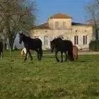 Château Cach