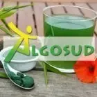 Algosud
