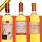 Château la Bouade SCEA