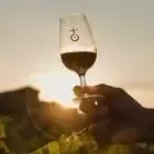 Domaine Enclos de la Croix