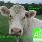 Vente Directe Viande Bovine Charmont