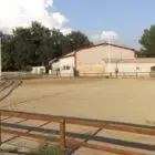 La Jumenterie du village
