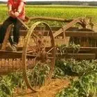 Saveurs de Nos Terres