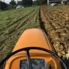 Le Potager De Roger