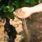 Domaine Rollin - Père et fils