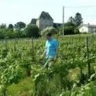 Chateau Le Tap