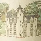 Château de Coulaine, vins de Chinon