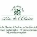 Le Mas de l'Olivine