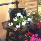 Les Délices De La Petite Ferme D'Alsace