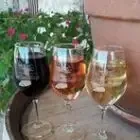 Les Vignerons des Capitelles