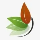 Jeunes Plants de l'Ousson
