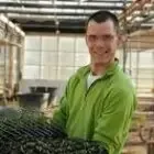 Amap 1001 Tomates