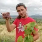 Chateau Haut Fabregues