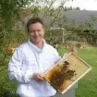 La Mare aux Abeilles - Apiculteur Julien Marre