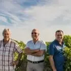 La Belle Pierre (Cave Coopérative Beaucaire)