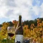 Molin Armelle et Jean-Michel