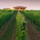 Chateau Bessan