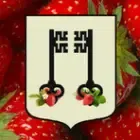 Les fraises du Moun