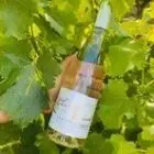 Domaine des Champs Vermeil