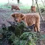 Ferme De " Jean Marouty "