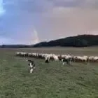 La Ferme Du Crock'ut