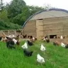 Ferme Etxartia