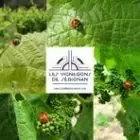 Les vignerons de serignan