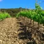 Domaine de l'Arbussele