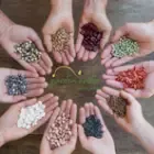 SCIC Jardin'enVie - Boutique et Pépinière