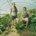 Les Maraicheres Du Sauge