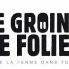 LE GROIN DE FOLIE