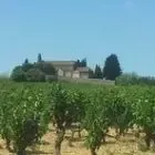 Domaine Martinolle-Gasparets