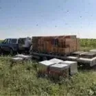 Rucher La Sapée